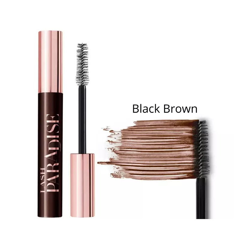 2pk SET L'Oreal Paris Signature Lip Gloss 408 i accentuate + Paradise Mascara Black Brown