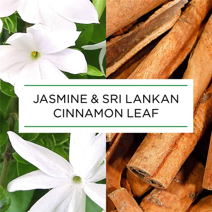 3x Air Wick Botanica Jasmine and Sri Lankan Cinnamon Leaf Candle 205g