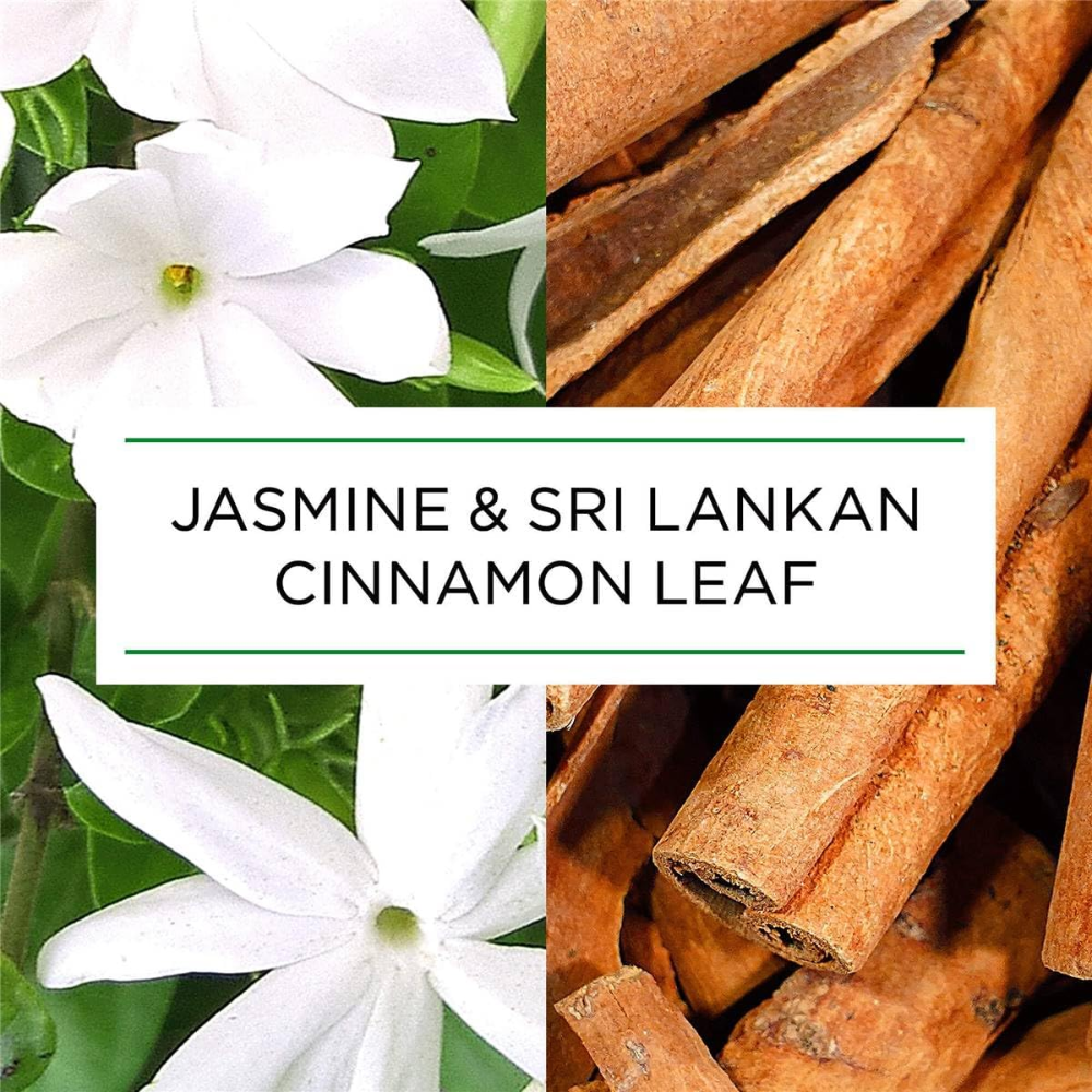 Air Wick Botanica Jasmine and Sri Lankan Cinnamon Leaf Candle 205g