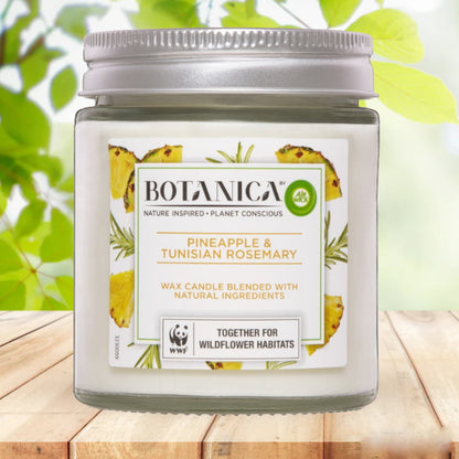 3x Air Wick Botanica by Pineapple and Tunisian Rosemary Candle 205g
