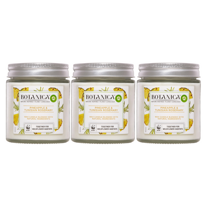 3x Air Wick Botanica by Pineapple and Tunisian Rosemary Candle 205g