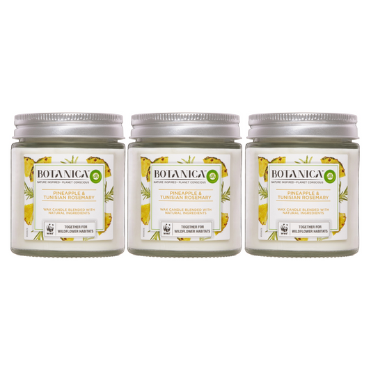 3x Air Wick Botanica by Pineapple and Tunisian Rosemary Candle 205g