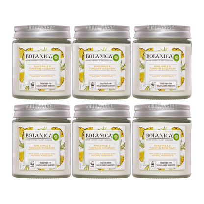 6x Air Wick Botanica by Pineapple and Tunisian Rosemary Candle 205g